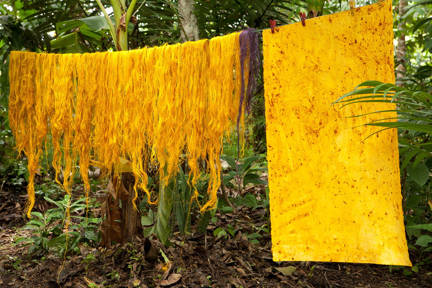 CURCUMA_galeria 38_MG_5279.jpg